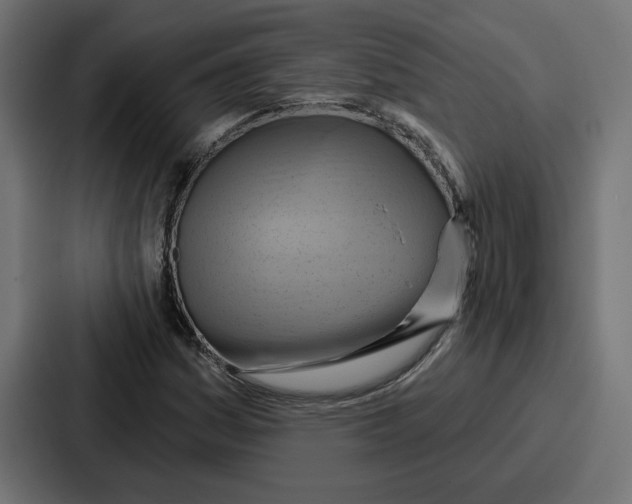 X0000086751161200705111649