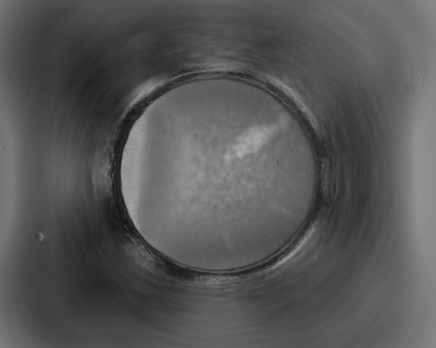 X0000086751163200705111649