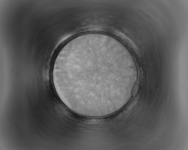 X0000086751166200705111649