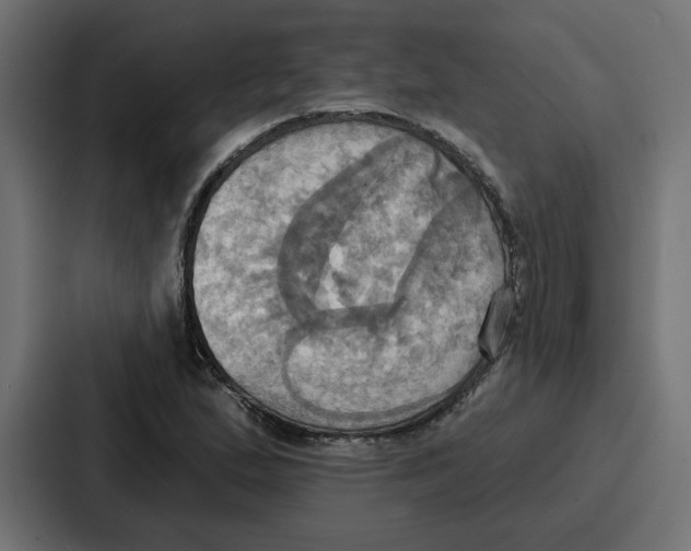 X0000086751167200705111649
