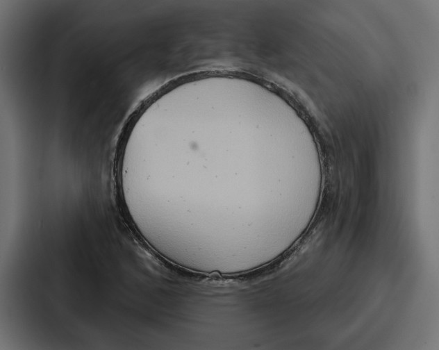 X0000086751168200705111649