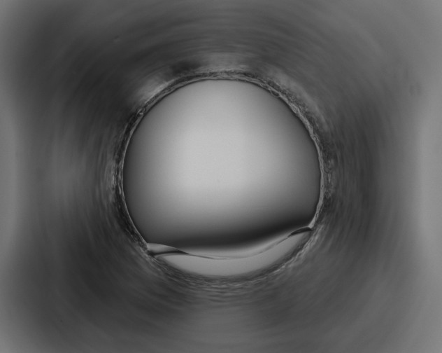 X0000086751169200705111649
