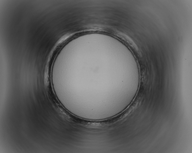X0000086751172200705111649