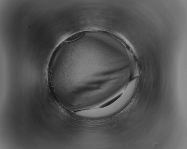 X0000086751173200705111649