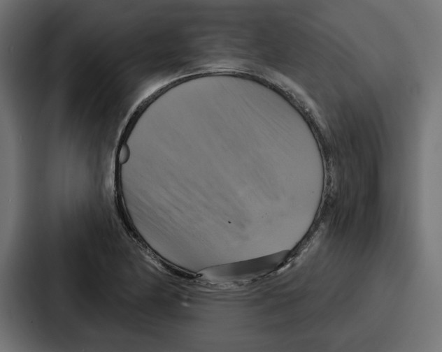 X0000086751174200705111649