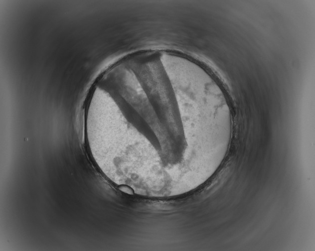 X0000086751175200705111649