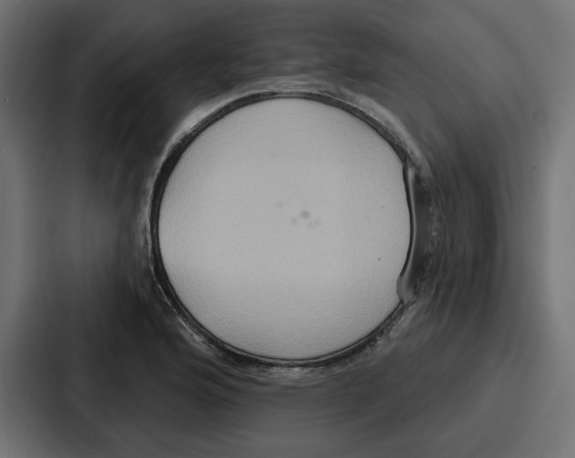 X0000086751176200705111649