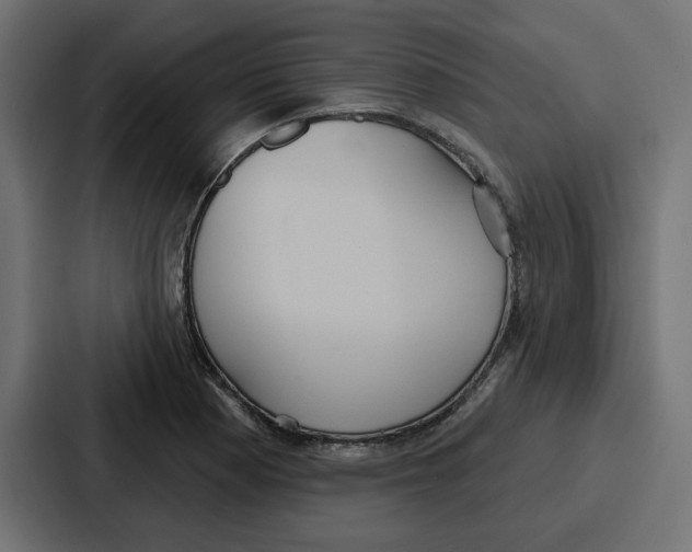 X0000086751177200705111649