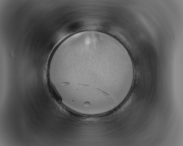 X0000086751178200705111649