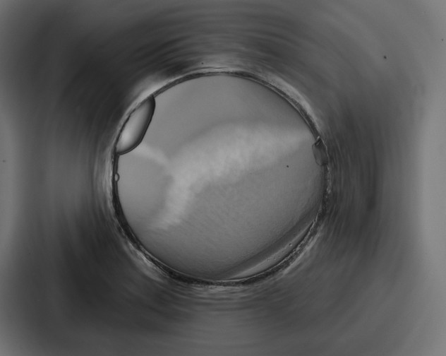 X0000086751179200705111649
