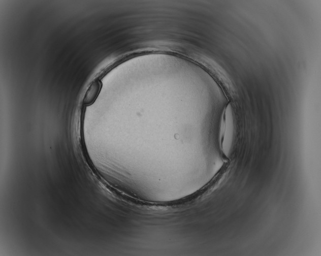 X0000086751180200705111649