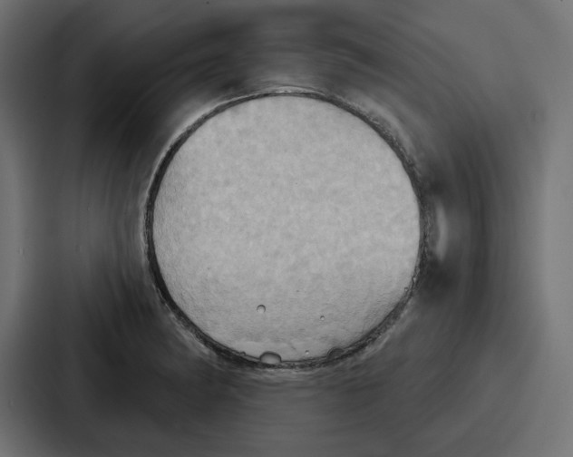 X0000086751182200705111649