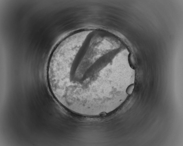 X0000086751183200705111649