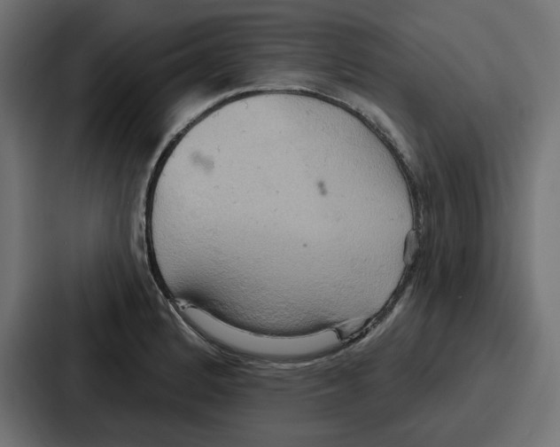 X0000086751184200705111649