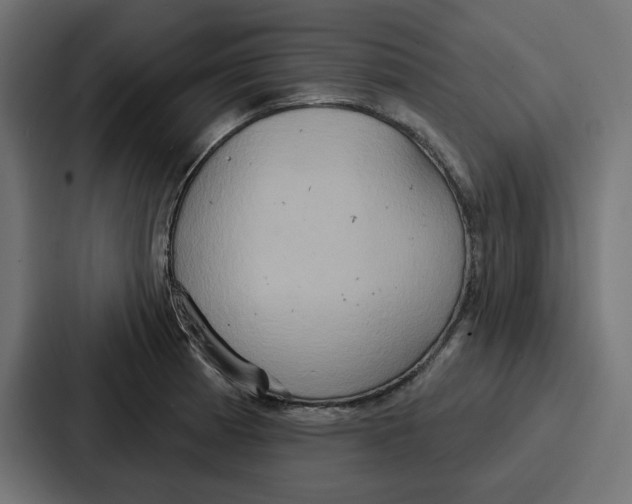 X0000086751185200705111649