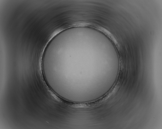 X0000086751186200705111649
