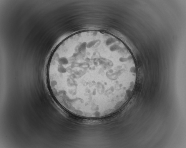 X0000086751187200705111649