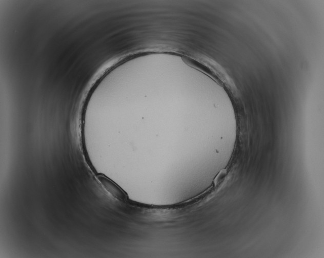 X0000086751188200705111649