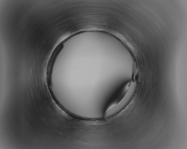 X0000086751189200705111649