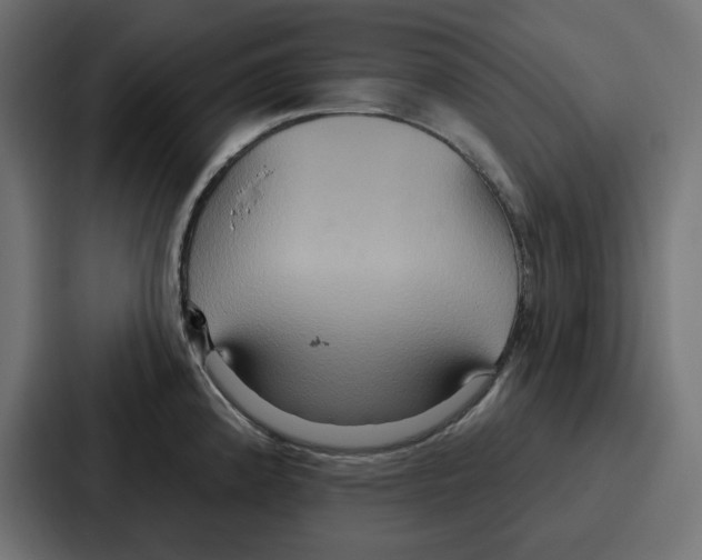 X0000086751192200705111648