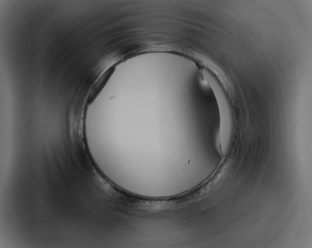 X0000086751193200705111648