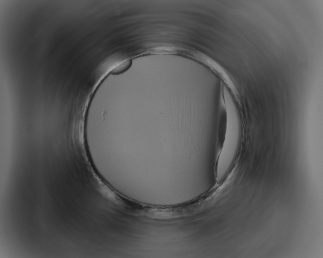 X0000086751194200705111648