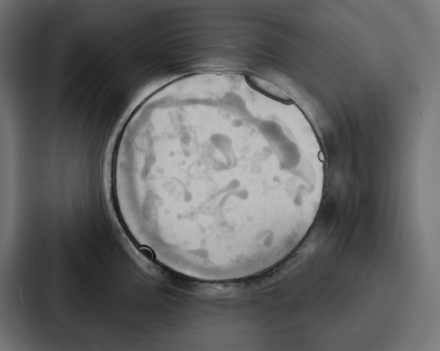 X0000086751195200705111648