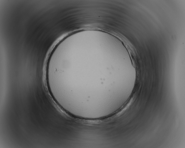 X0000086751196200705111648