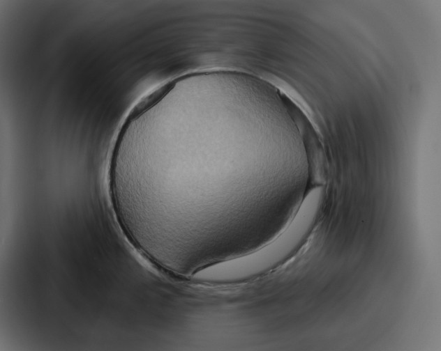 X0000086751197200705111648