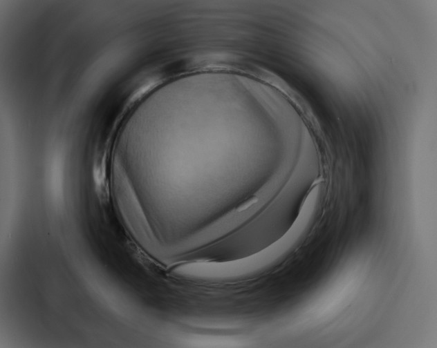 X0000086751198200705111648