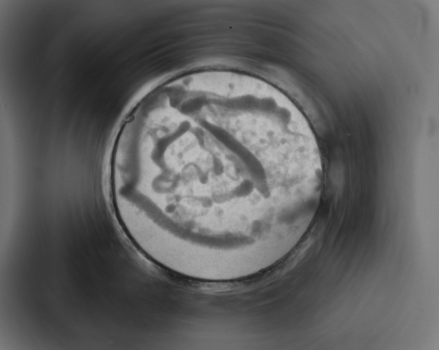 X0000086751199200705111648