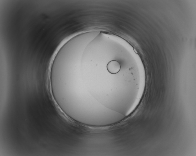 X0000086751200200705111648