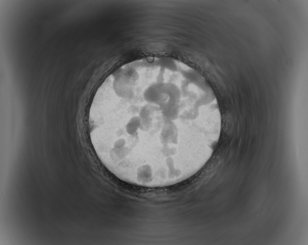X0000086751201200705111648
