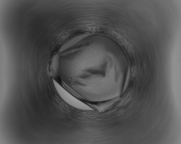 X0000086751202200705111648