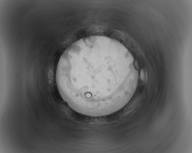 X0000086751203200705111648