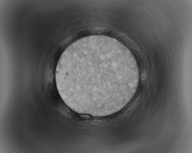 X0000086751204200705111648