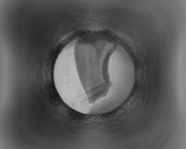 X0000086751205200705111648