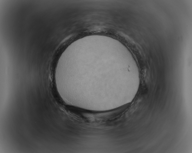 X0000086751206200705111648