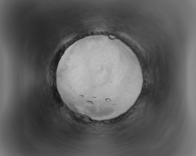 X0000086751207200705111648