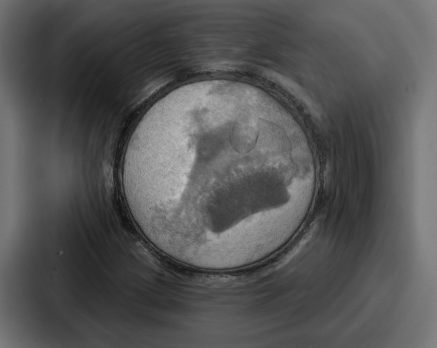 X0000086751209200705111648