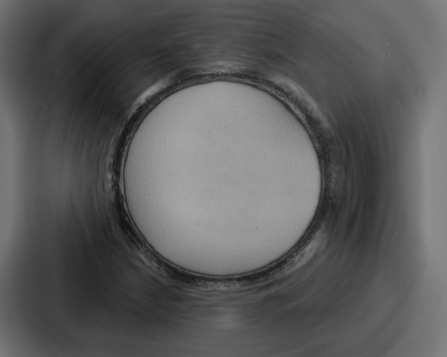 X0000086751210200705111648