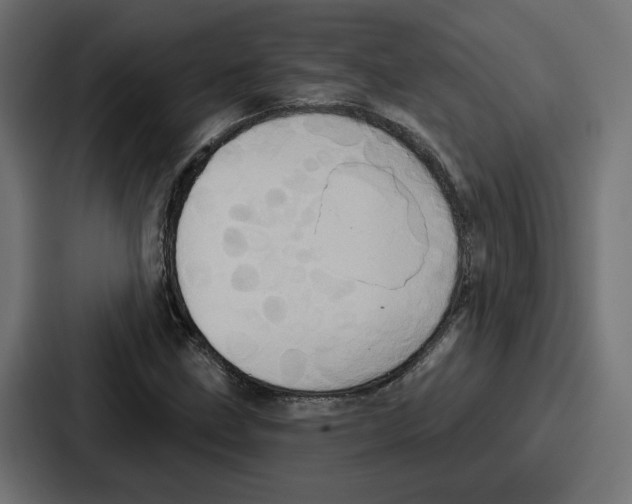 X0000086751211200705111648