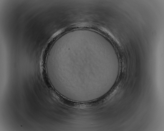 X0000086751213200705111648