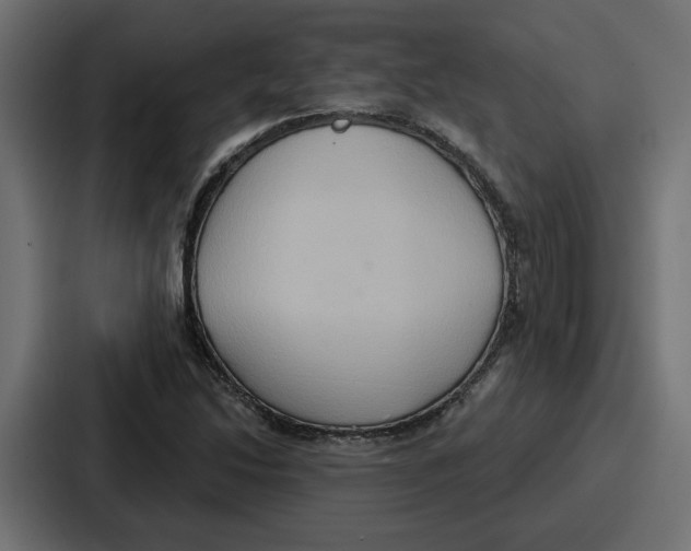 X0000086751214200705111648