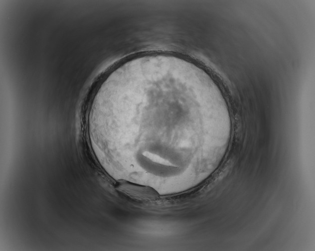 X0000086751215200705111648