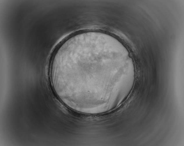 X0000086751216200705111648