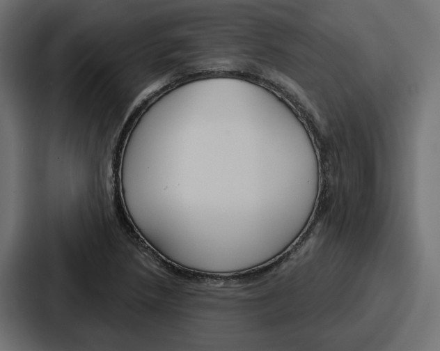 X0000086751218200705111648
