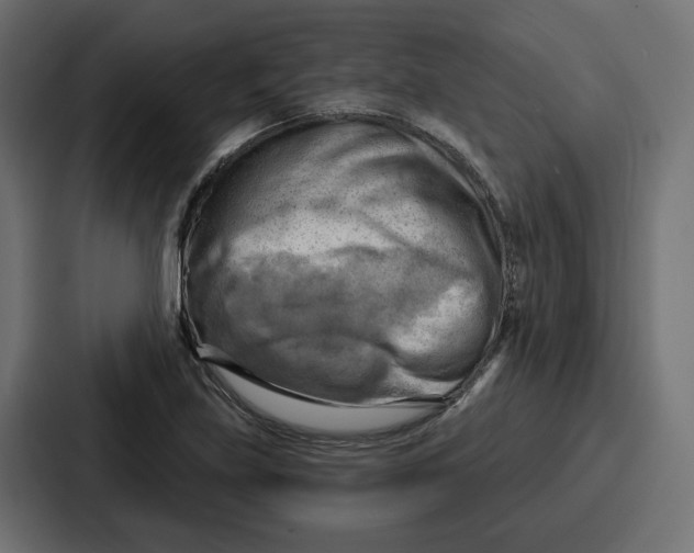 X0000086751219200705111648