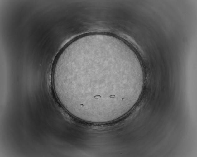 X0000086751220200705111648