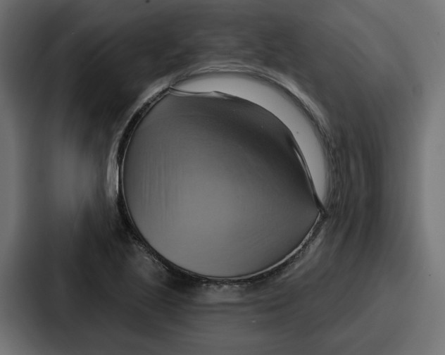 X0000086751221200705111648